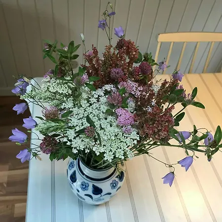 Family By The Calm Waters Of Limfjord 別荘 Højslev